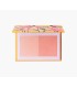 BLUSHER 002