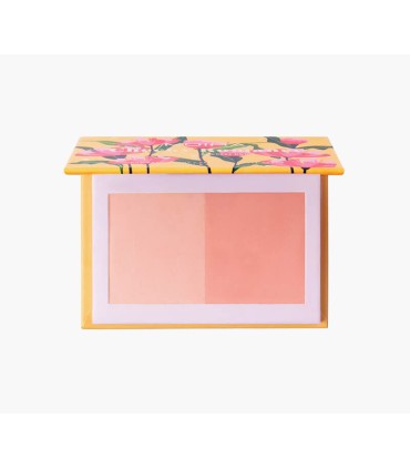 BLUSHER 002