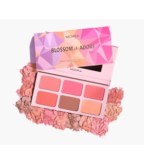 PALETTE 003