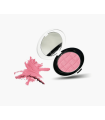 رژگونه پودری Cheek شوپارل